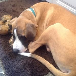 Meet your Posher, Candie